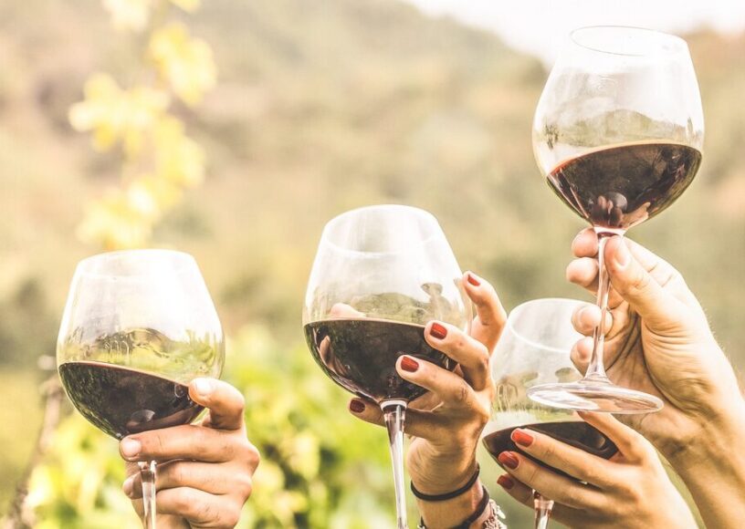 Hands toasting red wine glass and friends having fun cheering at winetasting experience - Young people enjoying harvest time together at farmhouse vineyard countryside - Youth and friendship concept